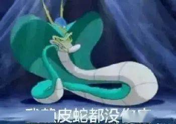 蛇是什么时间段出没的 7b43a9da46f14c1d8b1bf47b9f8442db.jpeg