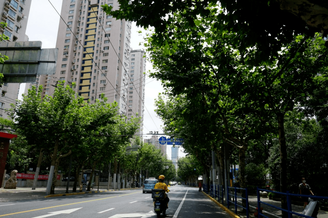 08 桐 柏 路(梅岭南路 枣阳路 09 杏 山 路(梅岭南路 梅川路)