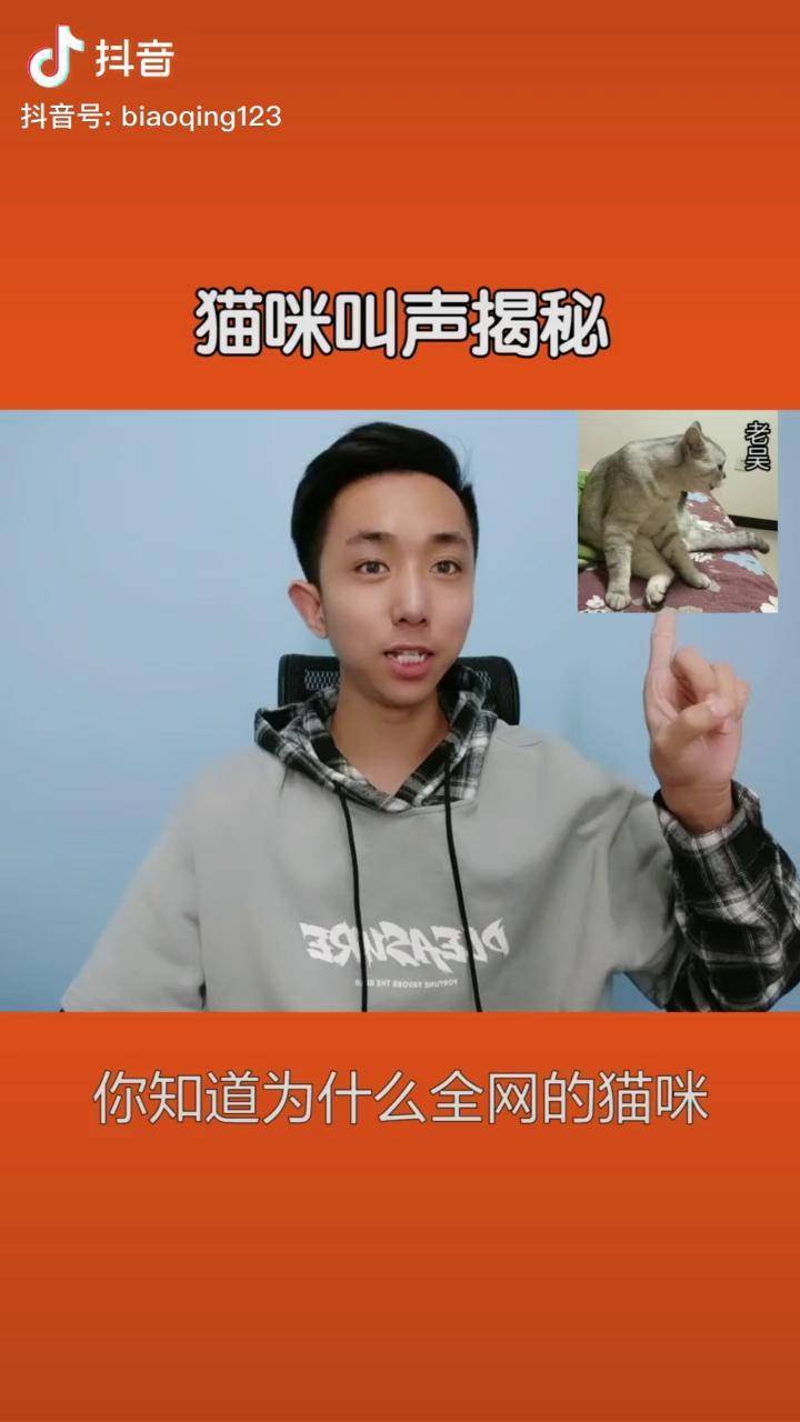 老吴猫抖音=老吴老吴猫表情包
