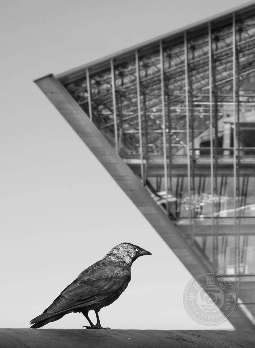 white|获奖公布 | 2021年德国CEWE摄影奖（建筑与构成组）获奖作品名单