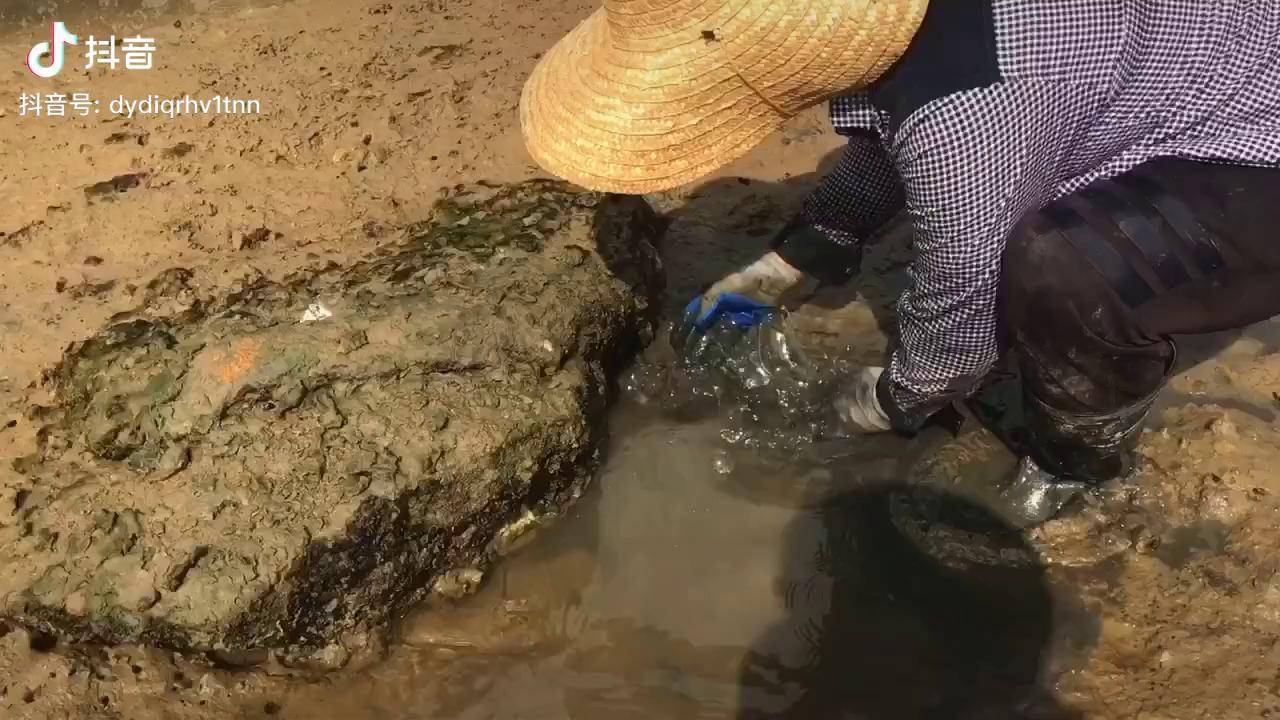 跑不了的兴哥赶海湛江抓螃蟹