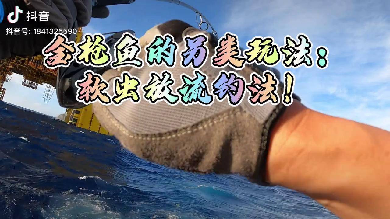 我应当是第一个开发软虫放流钓法的老炮了吧很有意思的金枪钓法看完