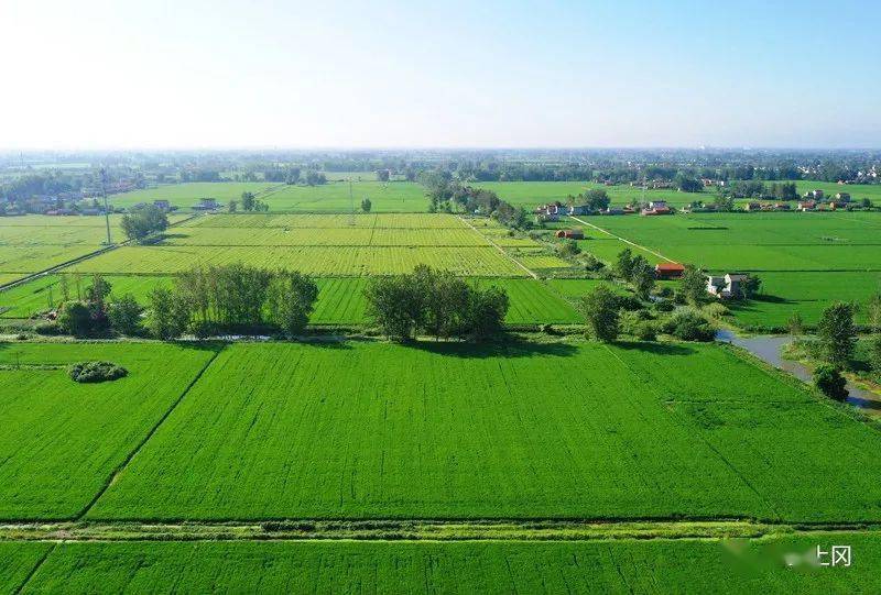 【航拍上冈】光华村,炎炎初秋,浓浓乡情_上冈镇