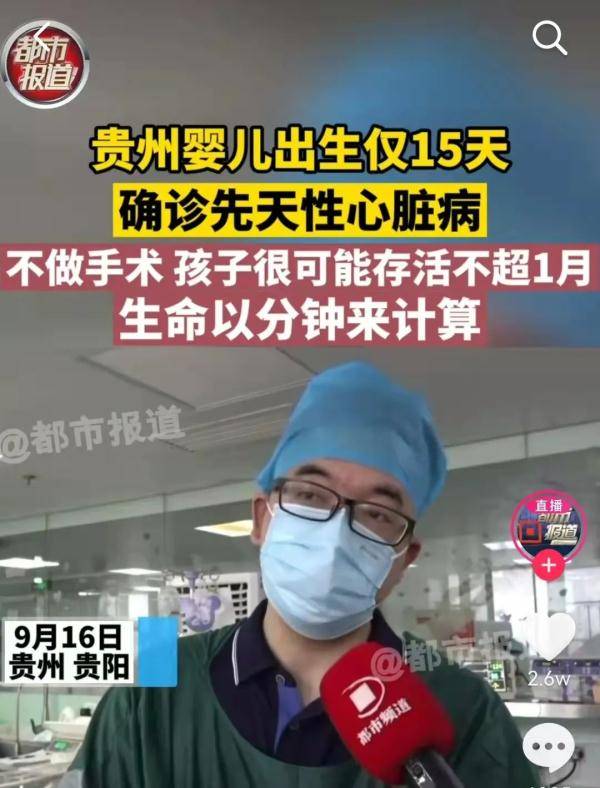 核桃|核桃大小的心臟跳動有力！貴D9288警，任務順利完成！