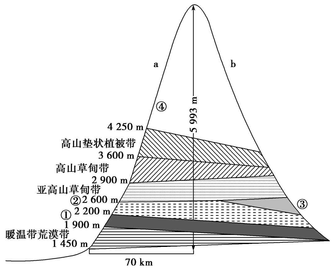 高中地理常考图表11 ——山地垂直自然带分布图的判读_海拔_雪线_北坡