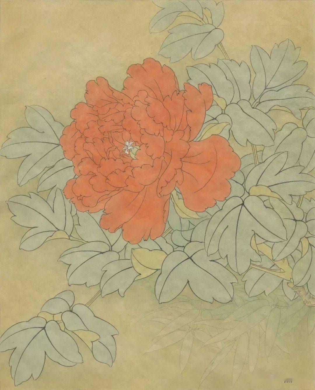 分享2组李怀臣的工笔牡丹设色步骤