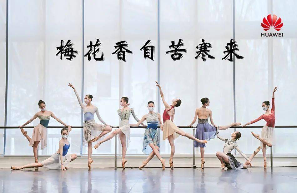 "中国一定能够胜利,但我已经战死沙场"_华为