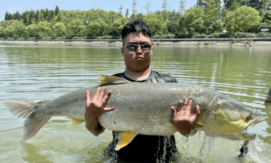 科普这些崇明鱼看看你能认识几种