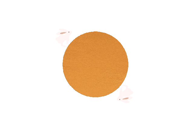 639_427gif 动态图 动图