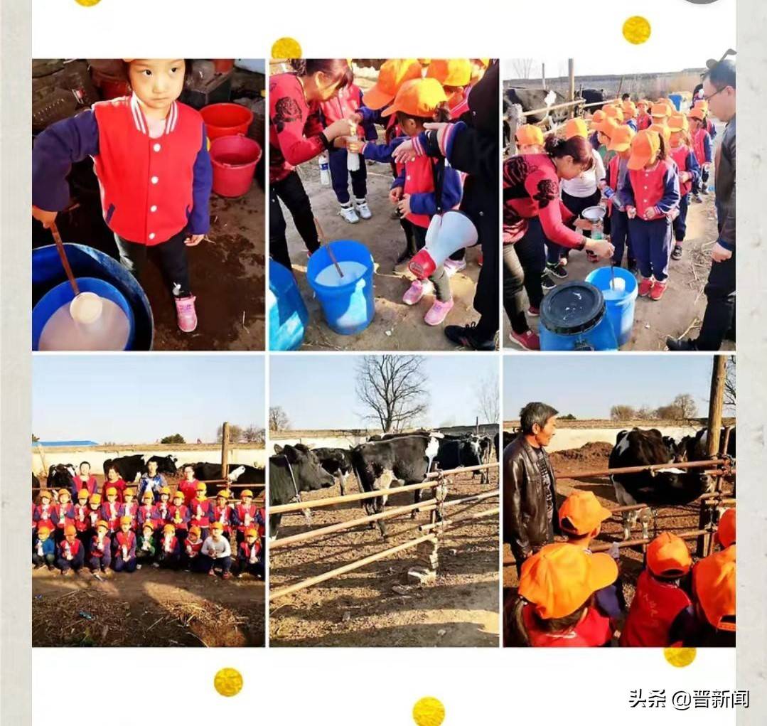 活动|朔州市朔城区育人幼儿园:社会实践活动在幼儿中生根发芽