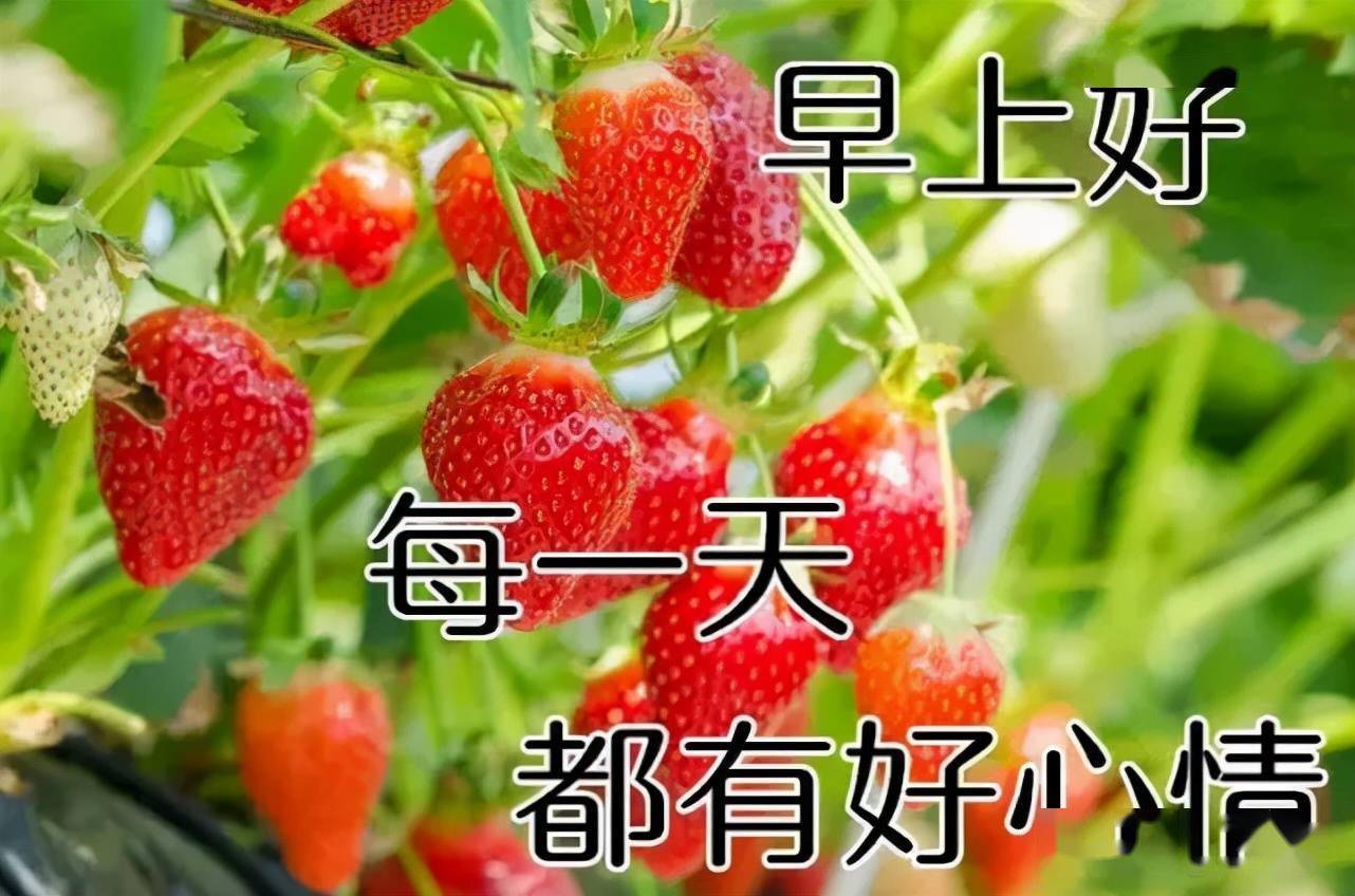 牵挂时时在心,感恩有你!真情一生永留,早安
