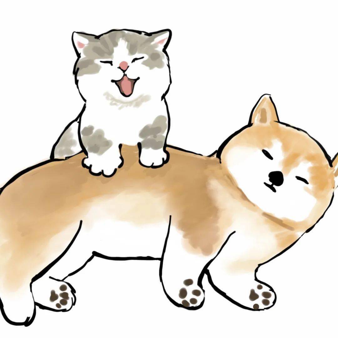 太可爱了日本通勤上班猫网友挤地铁的我哪有这么萌