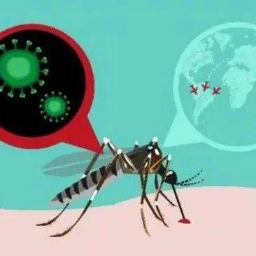 武汉病毒所/生物安全大科学中心在库蠓携带病毒的发现与特征研究方面取得进展_西藏