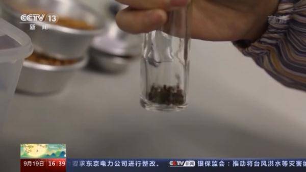 生物|探访种子“银行” 为野生生物建一个安全的“家”