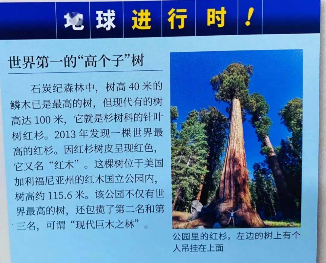 页页|高分硬核图书！1000+科普点，3000+精美配图，页页精彩有趣