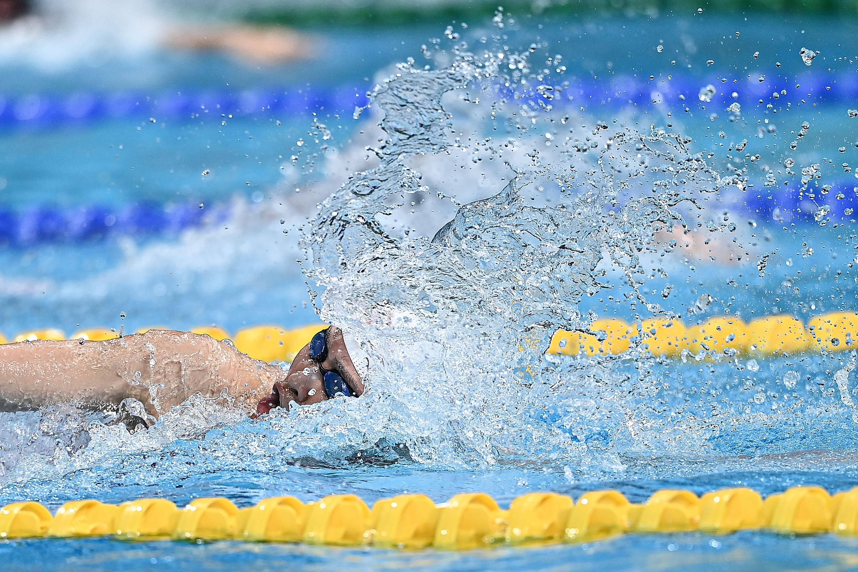 游泳—女子4x100米自由泳接力决赛赛况