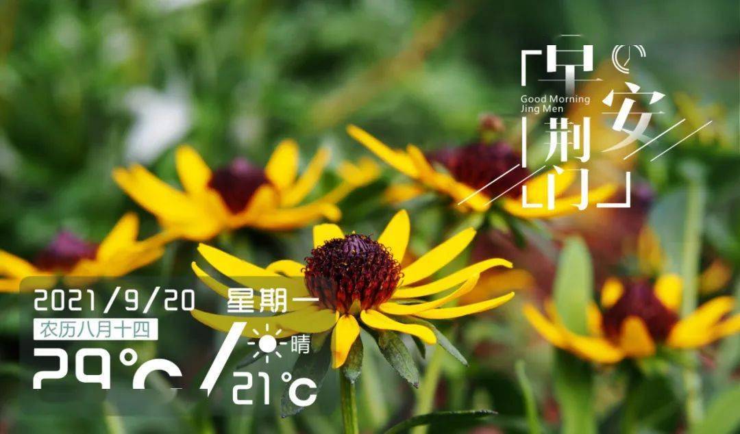bd37a2407a754242857ea449b07c7b37.jpeg