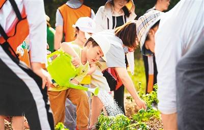 诗歌|诗香花香萦绕 乡村风景更好（深观察）