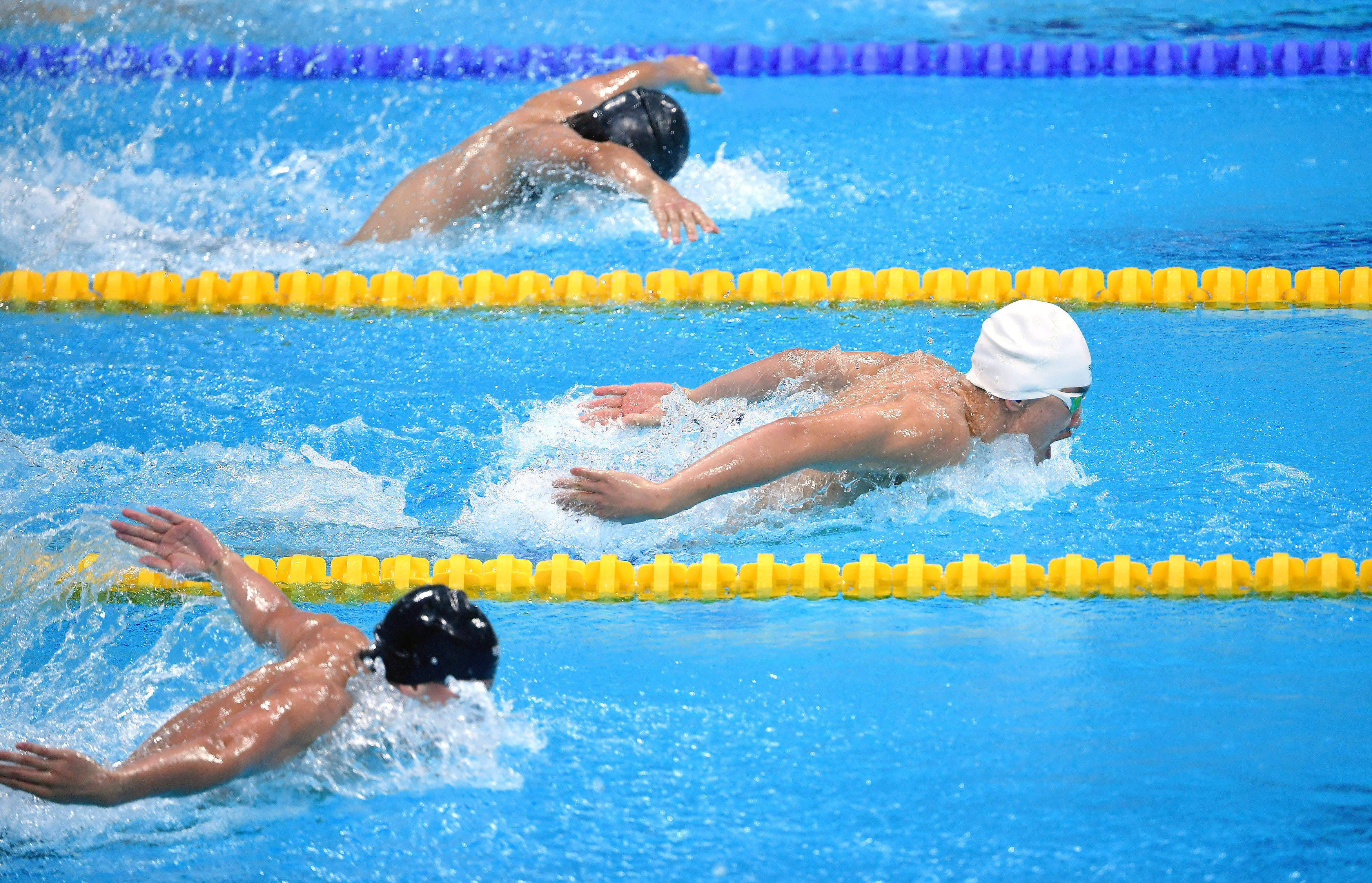 游泳—男子200米蝶泳预赛赛况