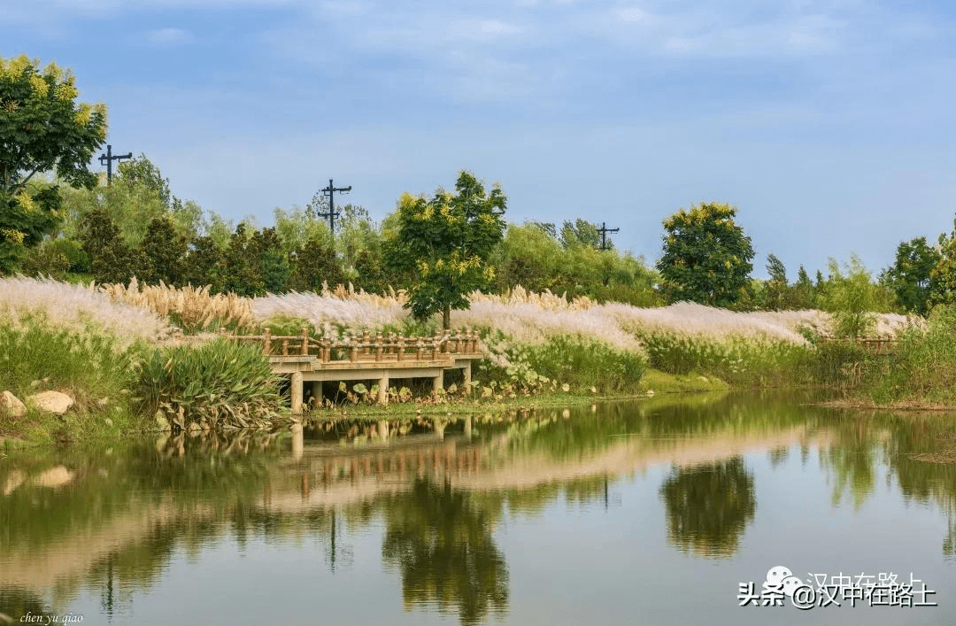 看完这篇攻略再去打卡汉中网红芦苇荡少走冤枉路