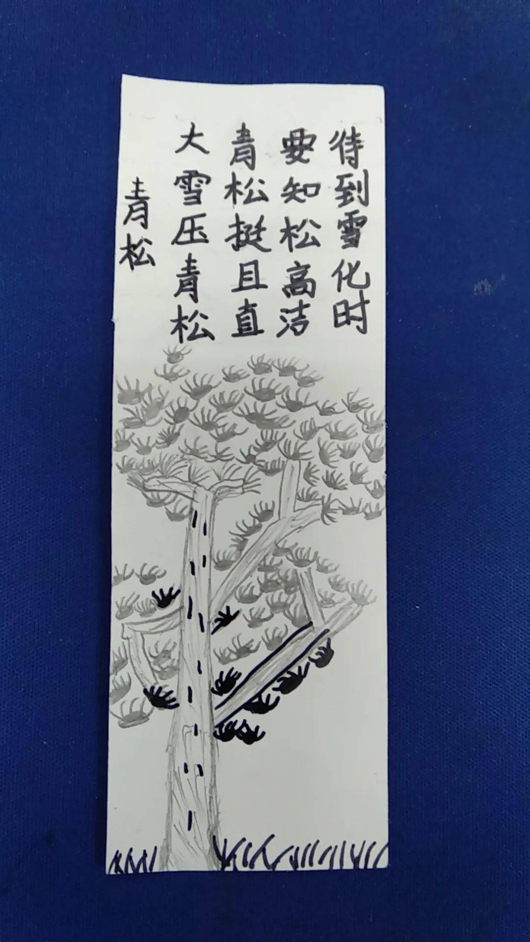普通话诵百年伟业 规范字写时代新篇_活动