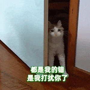 300_300gif 动态图 动图