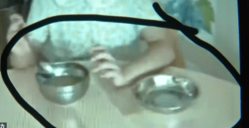 家长|5岁女孩突然不愿上幼儿园！一查监控家长发现这样一幕