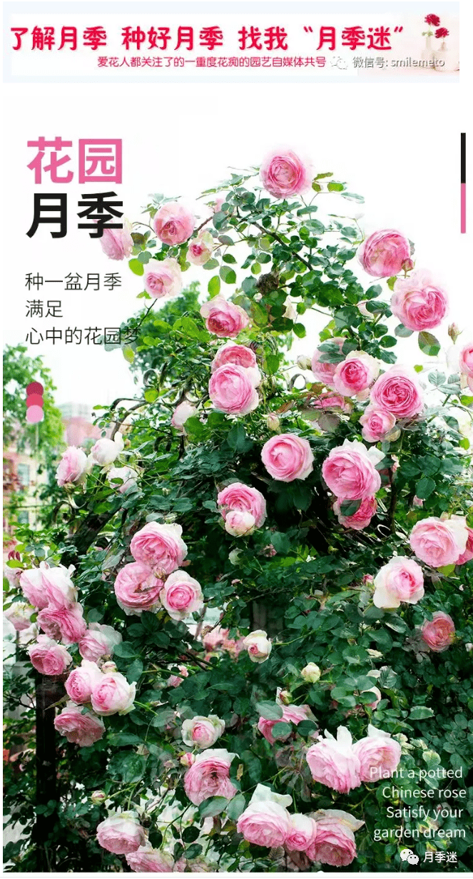 9f13b3ba15d9406a80e3b7b5ff75b056.png