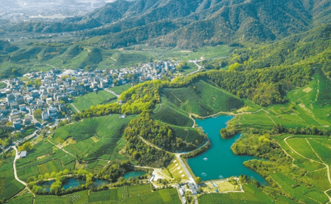 生態為基數字賦能協同共建西湖區轉塘街道描繪未來鄉村新圖景