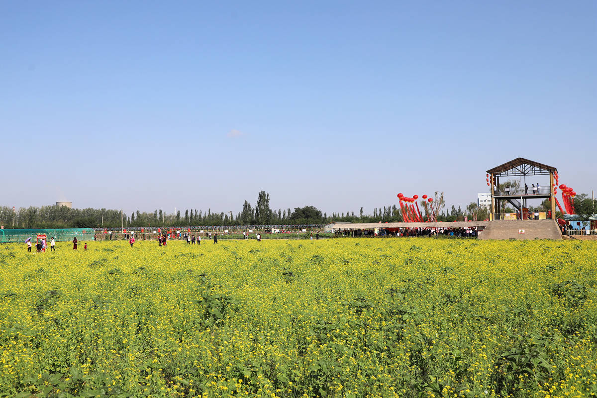 宁夏永宁县庆祝2021年中国农民丰收节活动精彩纷呈