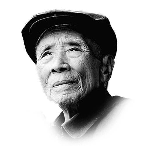 绿了荒山白了头发的种树书记杨善洲