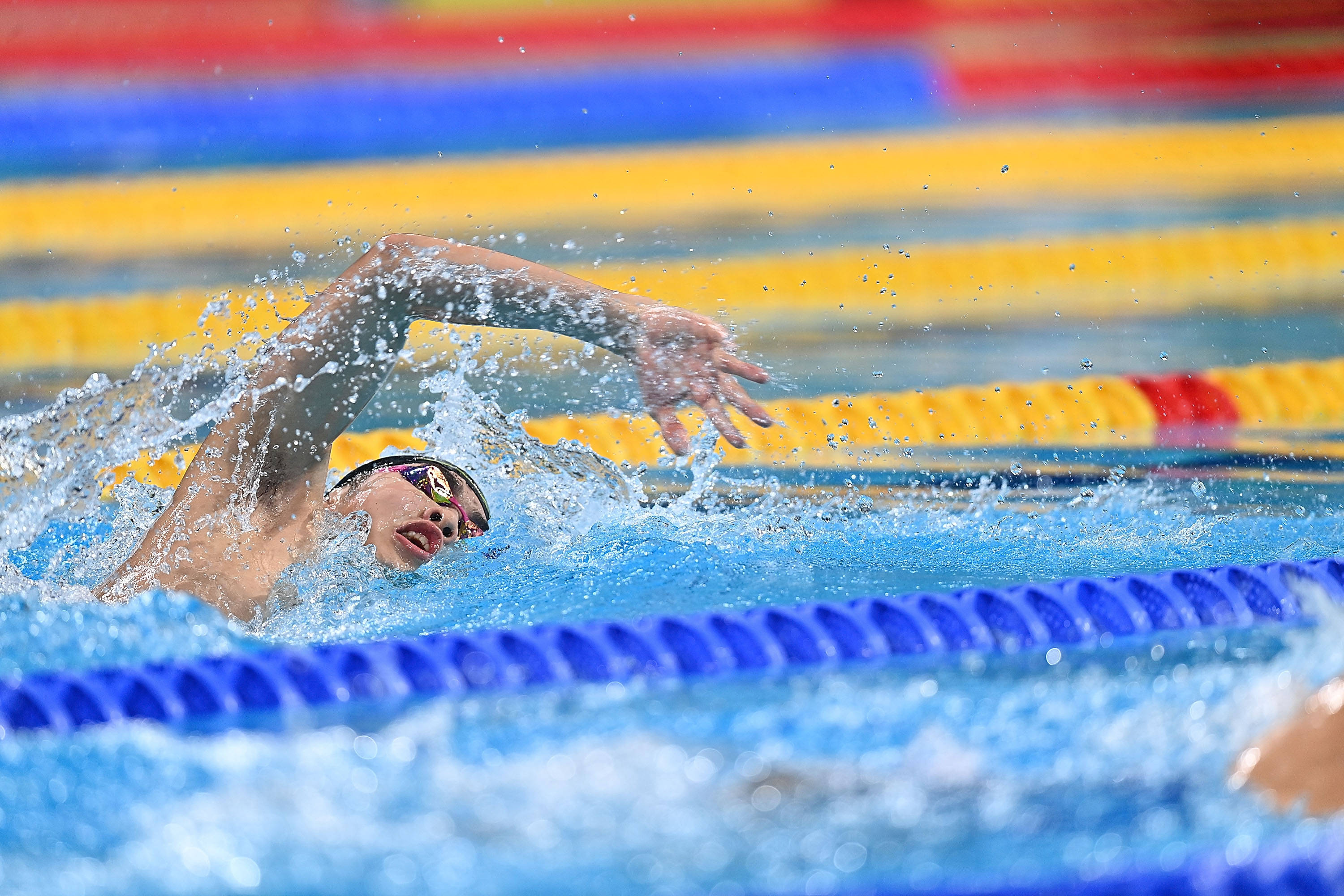 游泳——男子800米自由泳决赛