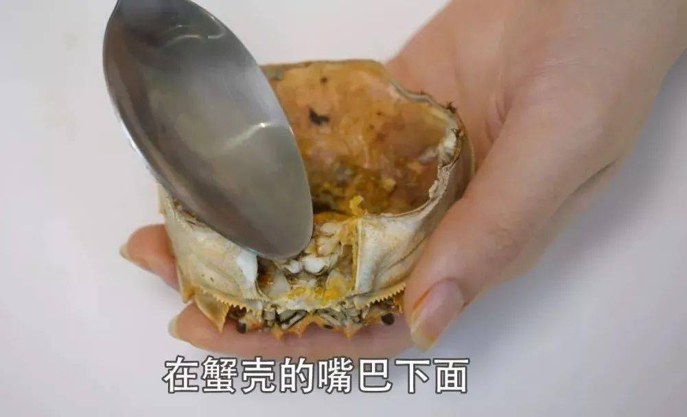 活螃蟹怎么保存两个月 6da9e088948c49619fd983499543cdac.jpeg