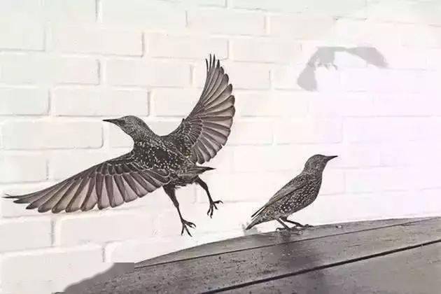 摄影给平常的事物赋予一种不平常的气氛，摄影同样如此！