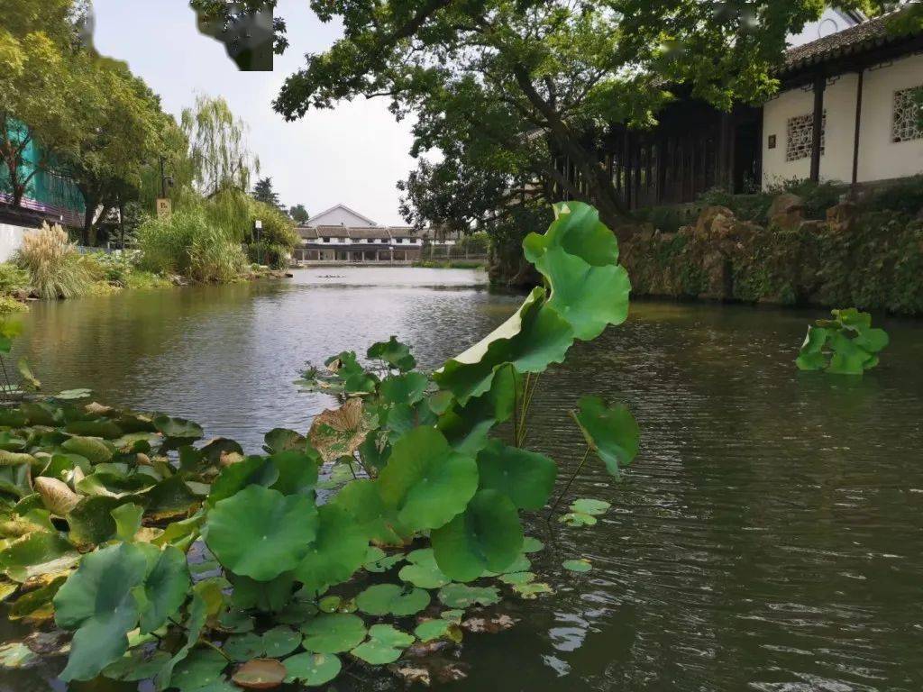 [讨论] 沧浪亭小记