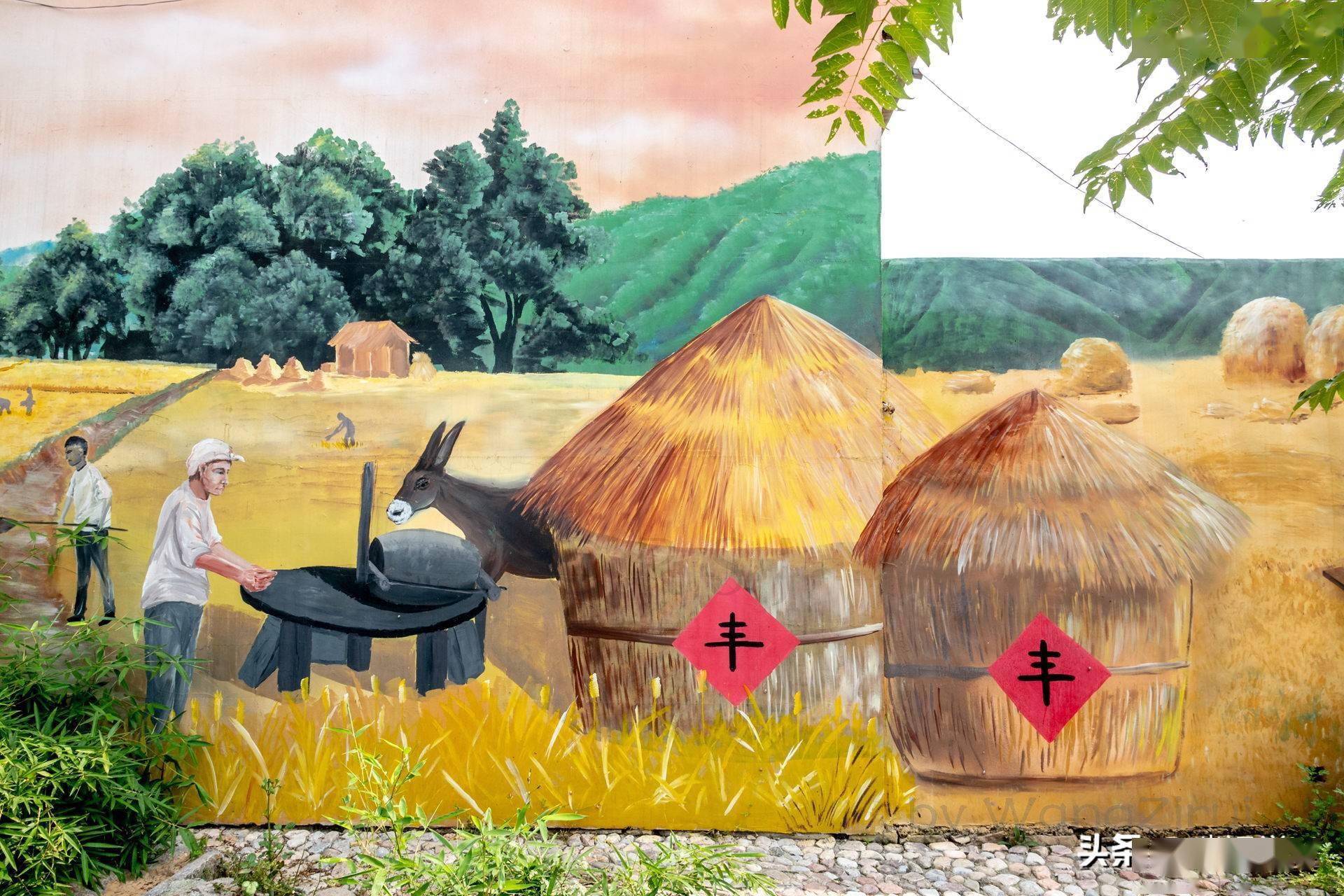 华春莹点赞:农家墙壁成画布,小村变成童话世界,很治愈