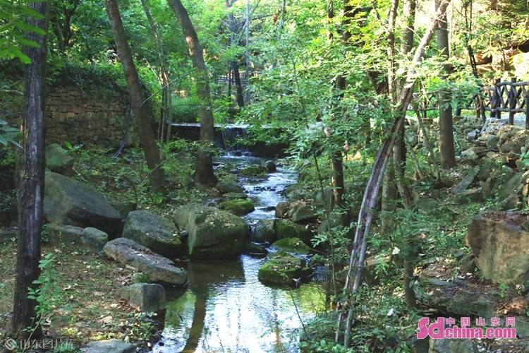 乡村好时节｜兰陵压油沟：悦山水，游古村，观戏赏艺，享休闲