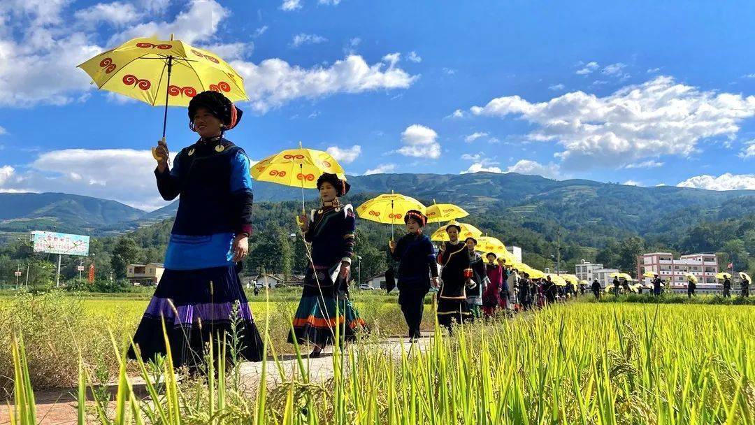 感党恩尝新米庆丰收越西普雄举办农民丰收节61彝族尝新节摄影采风