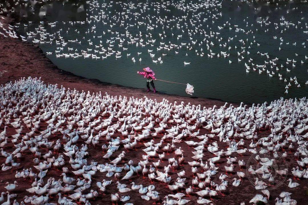 国际|获奖公布丨2021第十届台中国际摄影艺术展作品（台湾专题组）