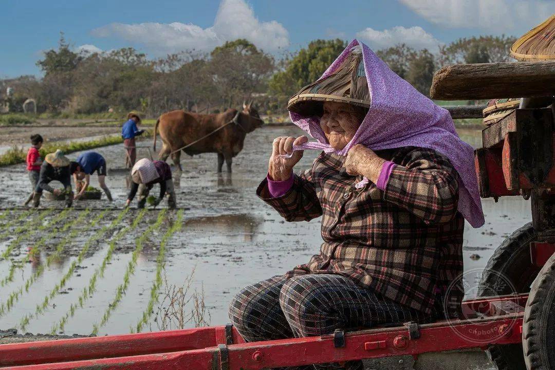 国际|获奖公布丨2021第十届台中国际摄影艺术展作品（台湾专题组）
