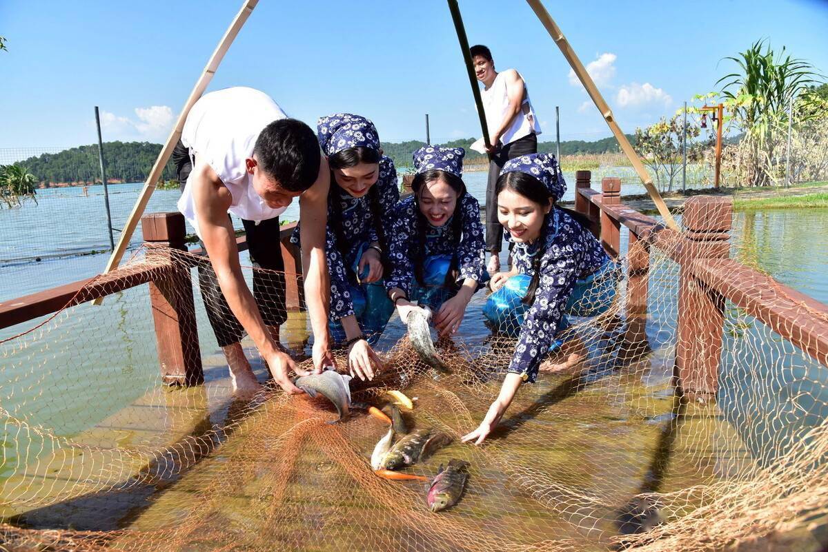 堪称南方鱼库万绿湖保水60年鲢鳙才是净水密码