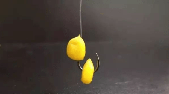 3fa2faa2316643e48506e627287129e6.png