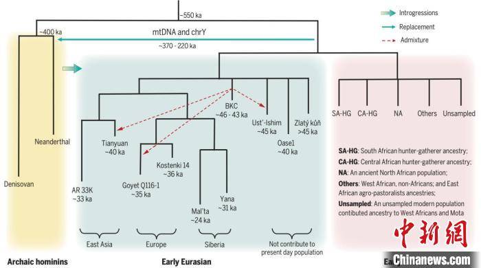 遗传|中国科学家领衔在《科学》发文 古DNA系统揭秘人类进化密码