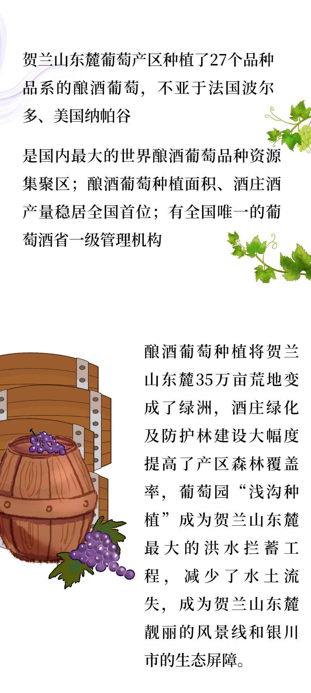 创意作品|听说，宁夏葡萄酒最近很火！