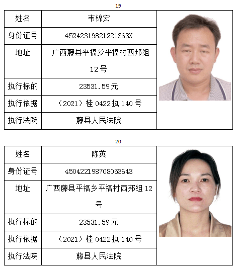 太平,和平,蒙江,大黎,藤县最新一批失信被执行人名单