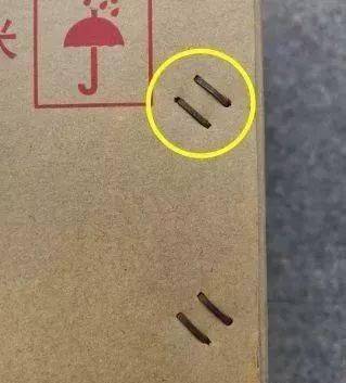 什么是正缘怎么辨别正缘 83dee436d1244caab0258c7e9aa6651e.jpeg