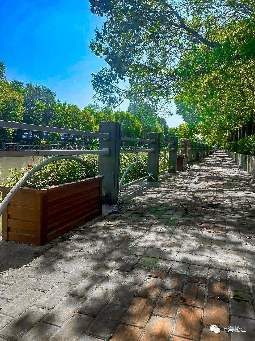 步道、花箱、绿植……松江三条河道焕新颜，快来散步！