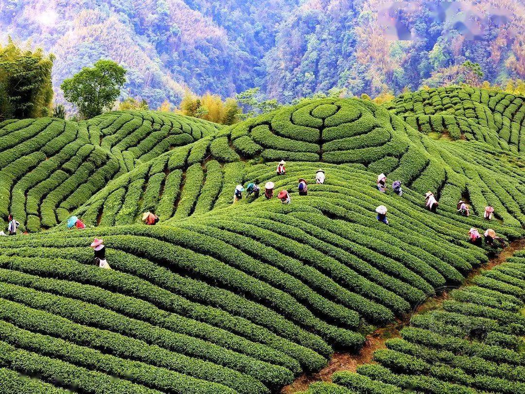 国际|获奖公布丨2021第十届台中国际摄影艺术展作品（台湾专题组）