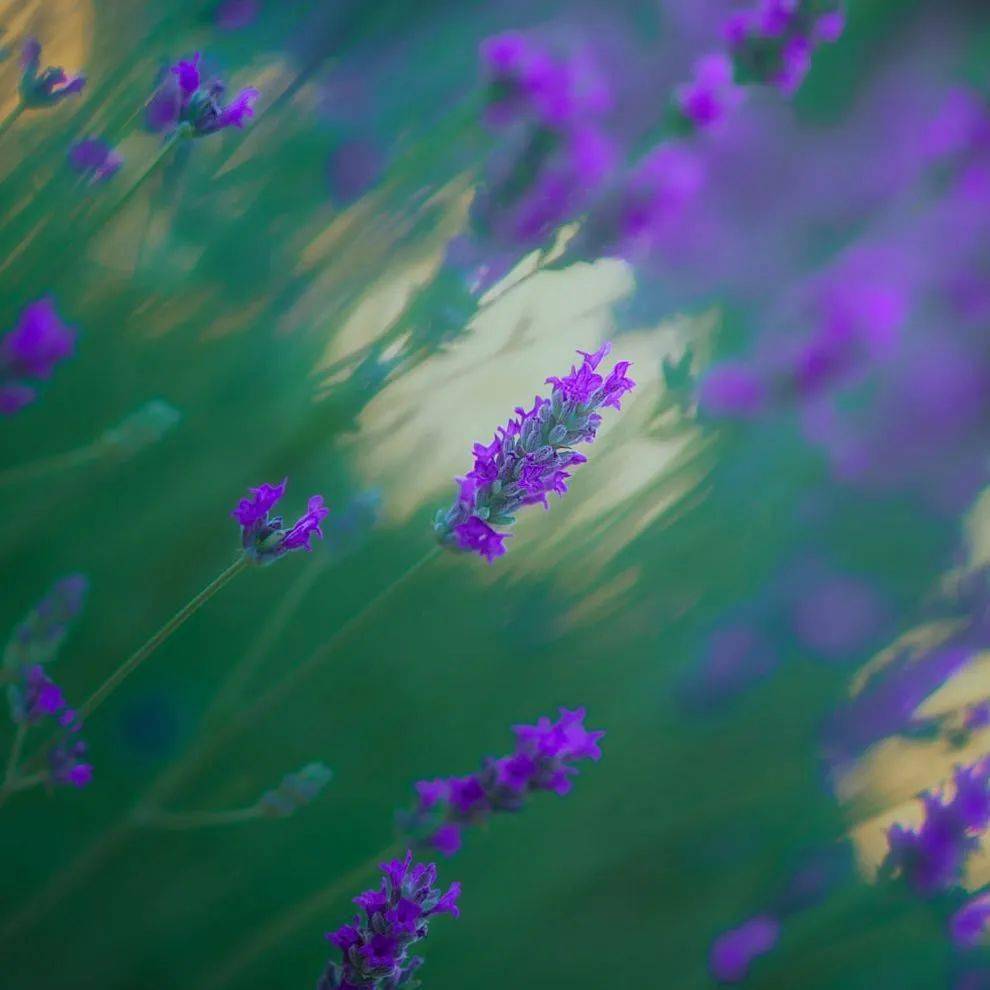d94c255bda4745c293f4fa22a26d0886.jpeg