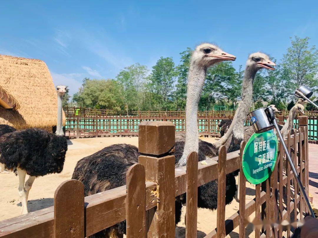 兰州市野生动物园9月26日试开园,自驾,公交线路全了!